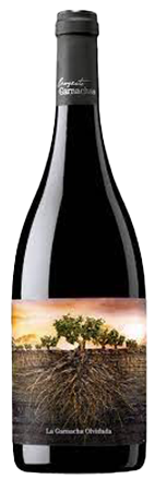 Findlater Wines Garnacha Olvidada de Aragon