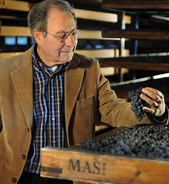 Sustainable Wine Masi Producer
